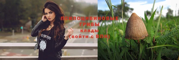прущий лед Алексеевка