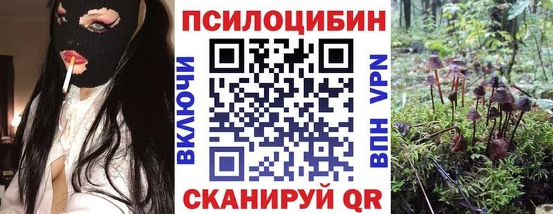купить наркоту  Ставрополь  Галлюциногенные грибы ЛСД 