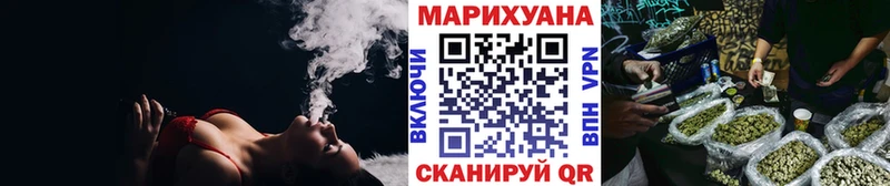 Конопля гибрид Ставрополь
